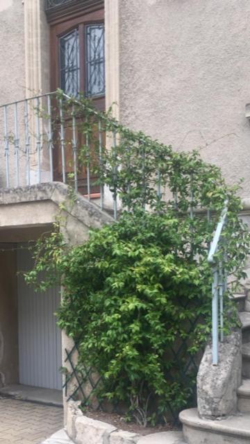 Chez Catherine Αρλ Εξωτερικό φωτογραφία